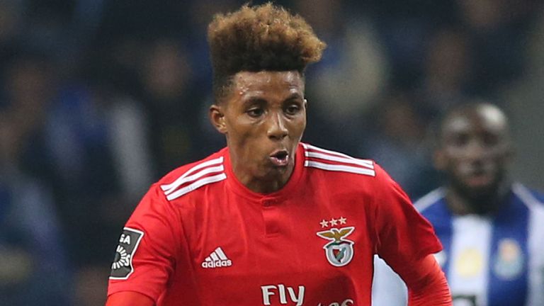Gedson Fernandes