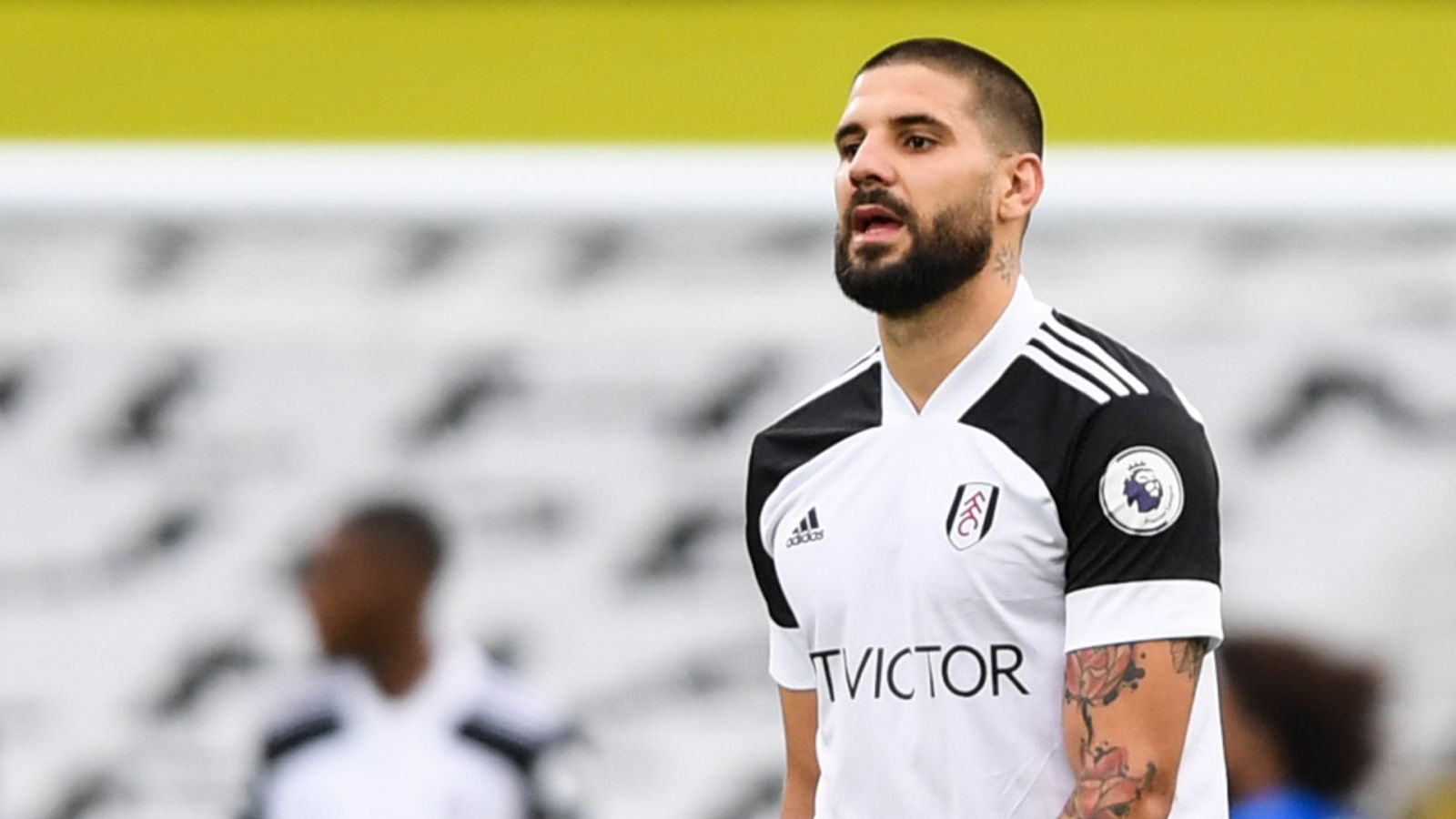 Aleksandar Mitrovic