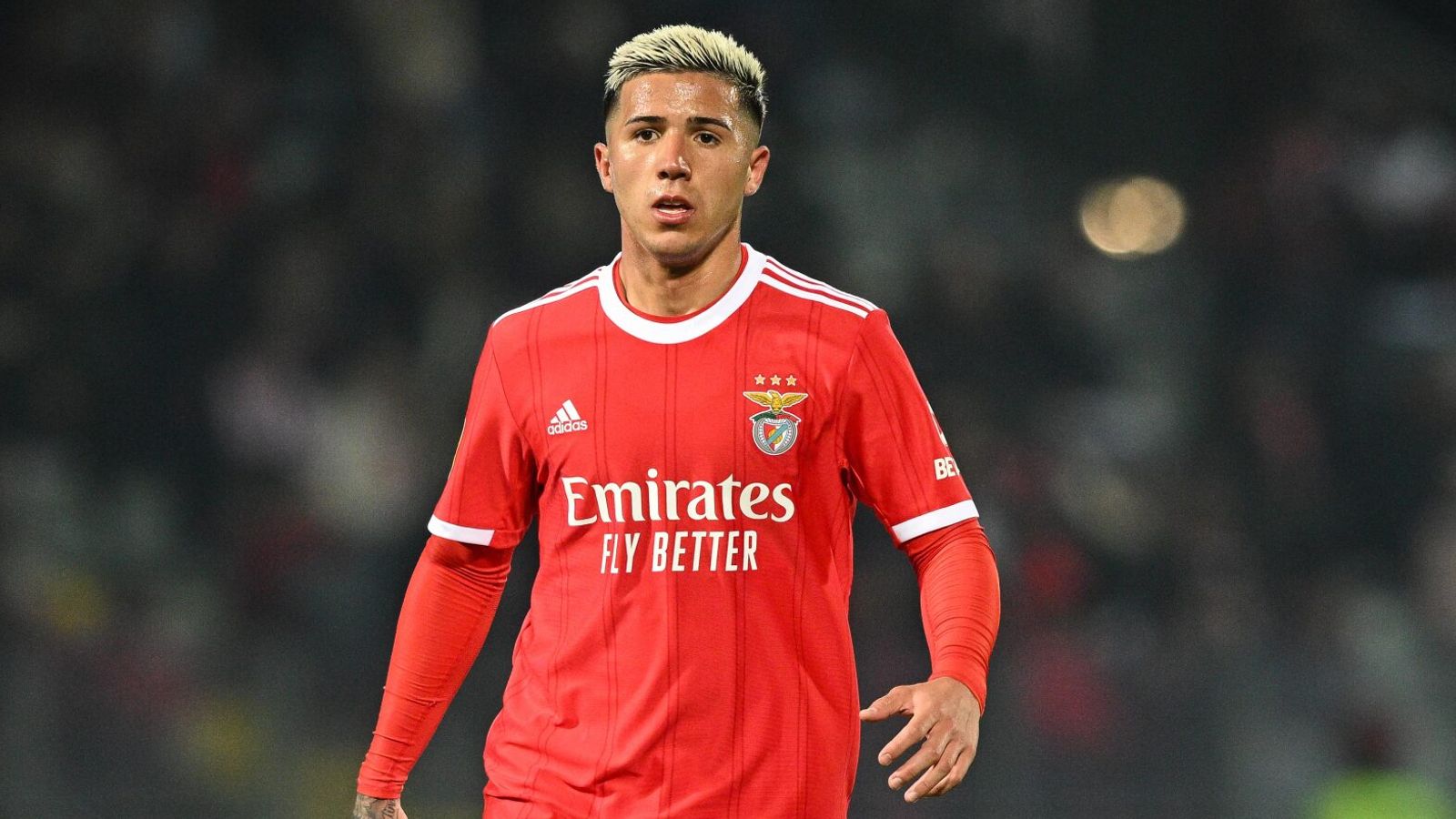 Enzo Fernandez